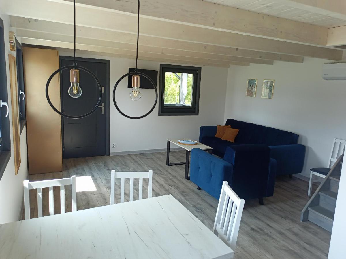 Domek Na Kaszubach, Borowy Mlyn, Jezioro Gwiazda, Sauna, 3 Zewnętrze zdjęcie