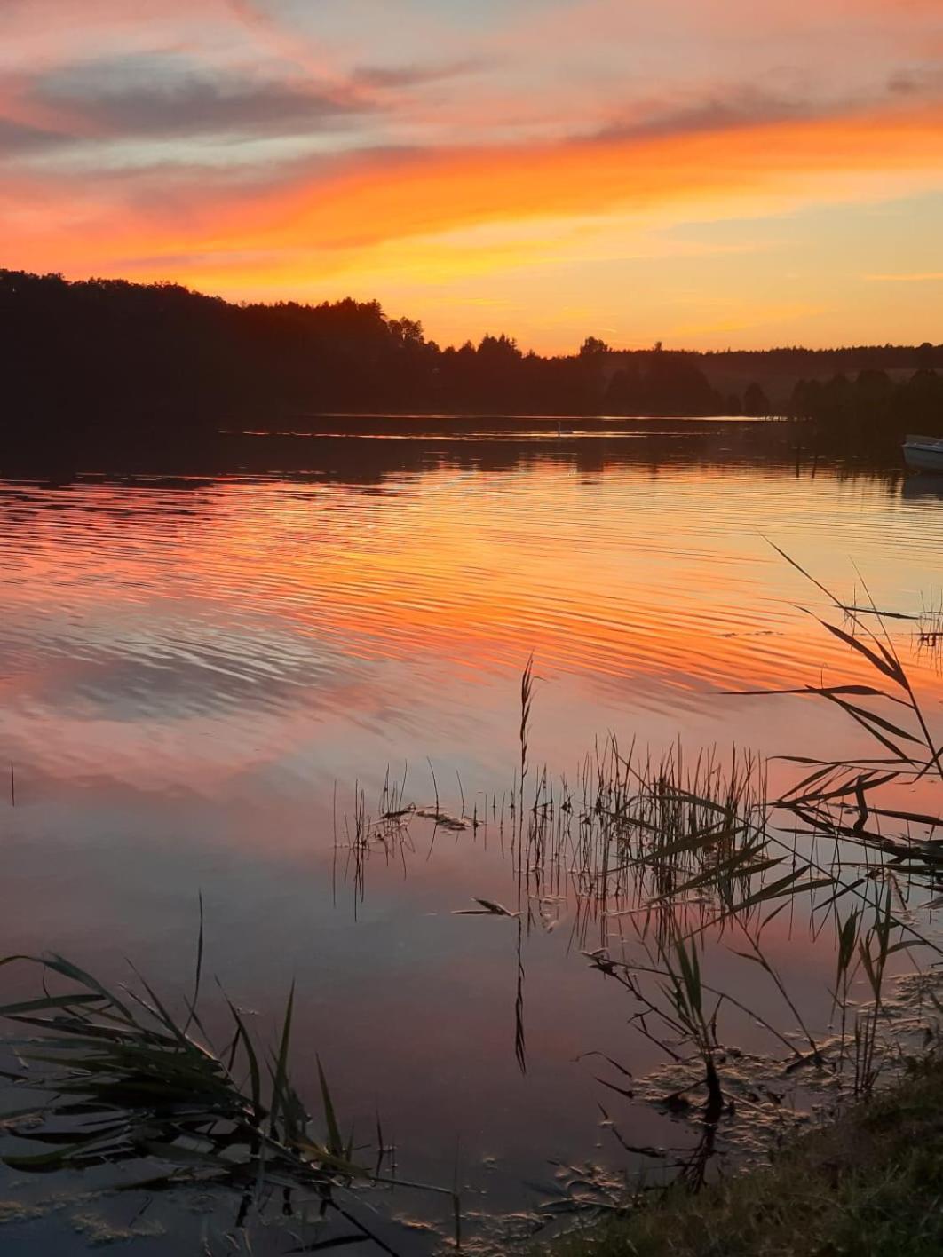 Domek Na Kaszubach, Borowy Mlyn, Jezioro Gwiazda, Sauna, 3 Zewnętrze zdjęcie