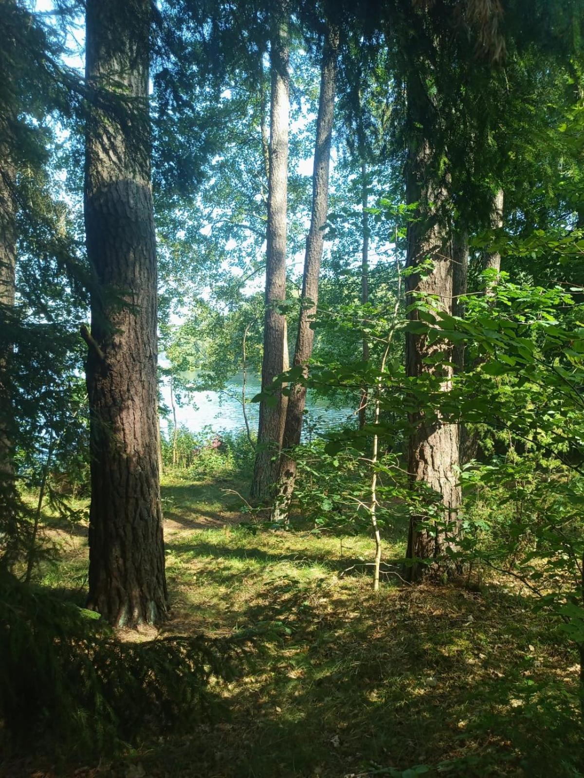 Domek Na Kaszubach, Borowy Mlyn, Jezioro Gwiazda, Sauna, 3 Zewnętrze zdjęcie